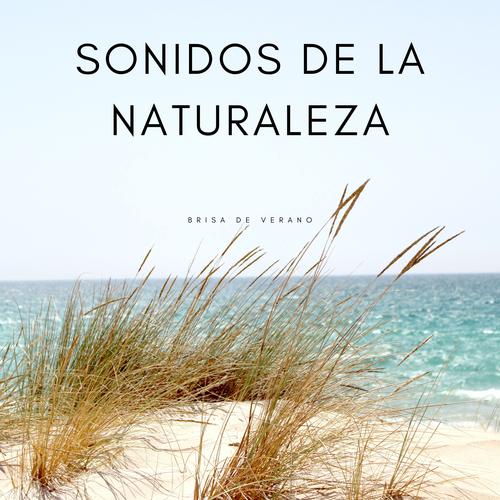 Play Musica relajante naturaleza – Sonidos natural de fondo para