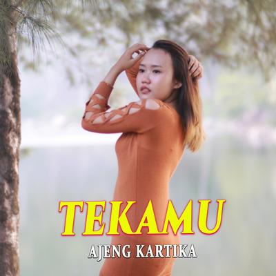 Tekamu's cover