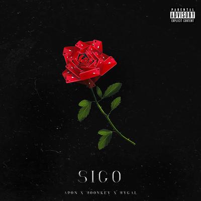 Sigo's cover