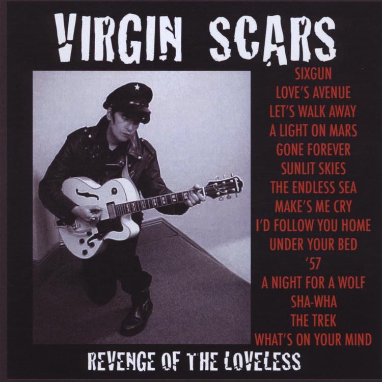 Virgin Scars's avatar image