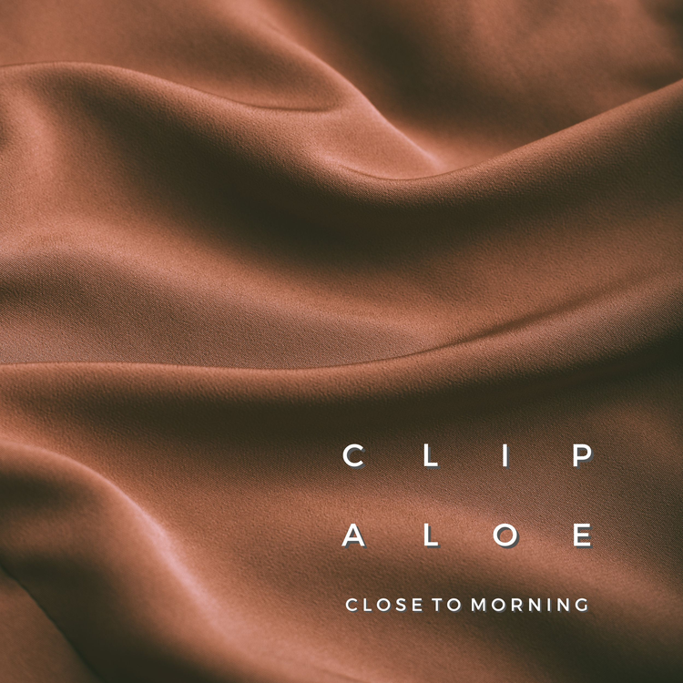 Clip Aloe's avatar image