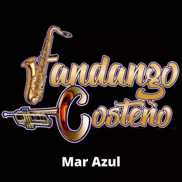 Fandango Costeño's avatar image