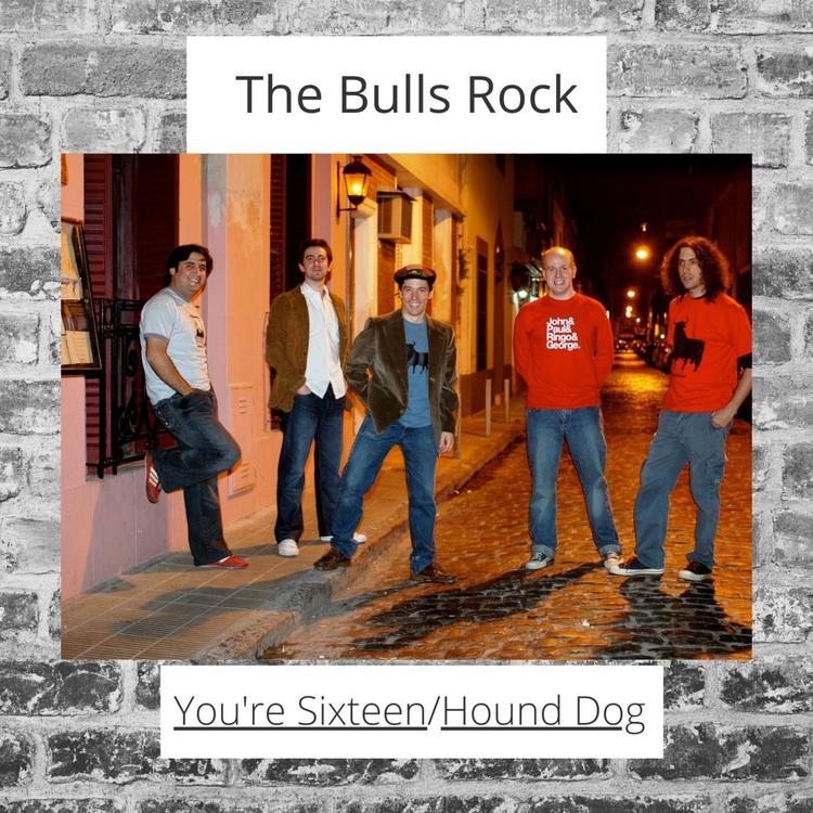 The Bulls Rock's avatar image