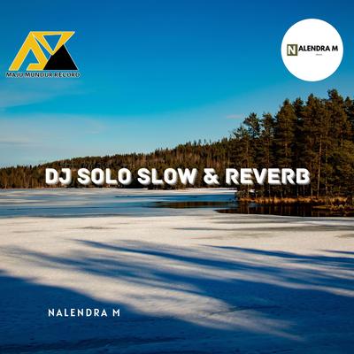 DJ Solo Slow & Reverb's cover