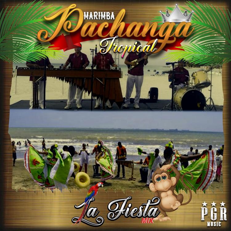 Marimba Pachanga Tropical's avatar image