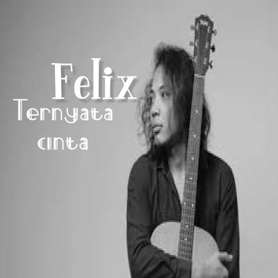 Ternyata Cinta By Felix's cover