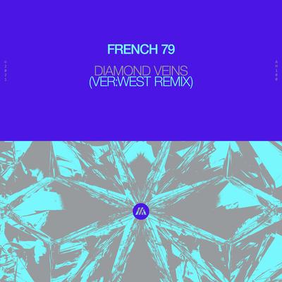 Diamond Veins (feat. Sarah Rebecca) [VER:WEST Remix] By French 79, Tiësto, Sarah Rebecca's cover