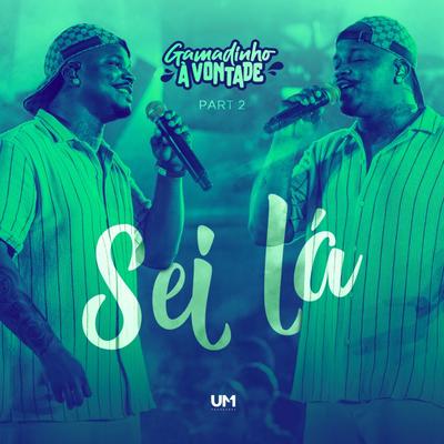 Sei Lá (Ao Vivo) By Gamadinho's cover