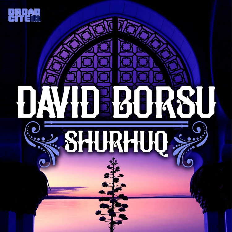 David Borsu's avatar image