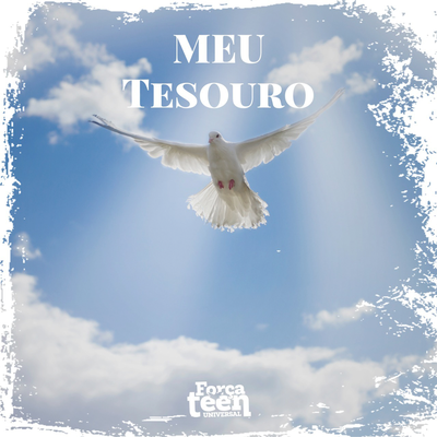 Meu Tesouro's cover