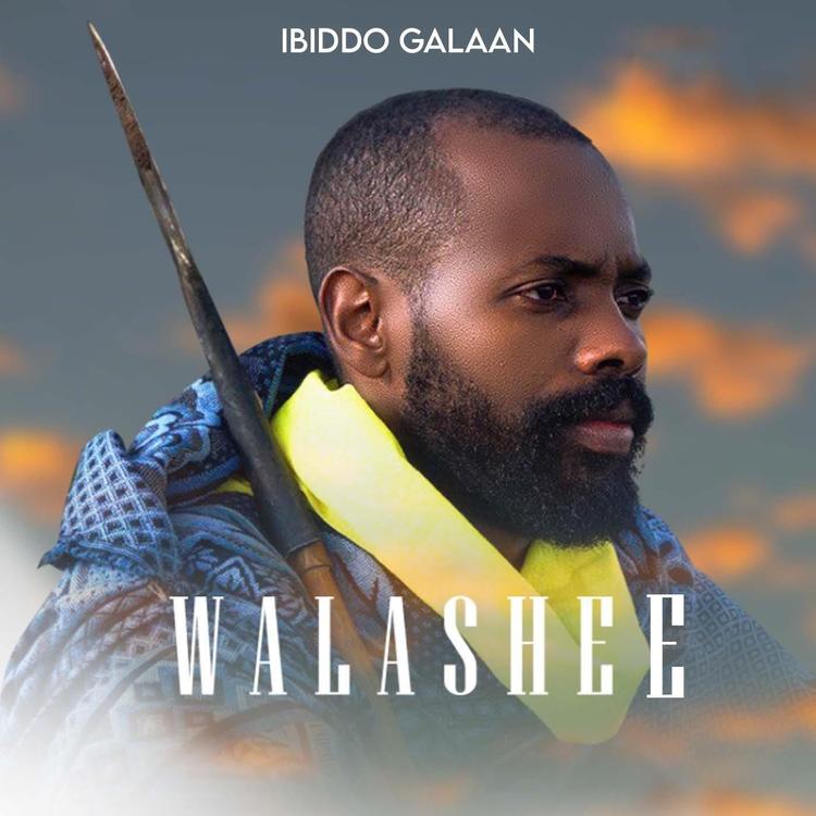 Ibiddo Galaan's avatar image
