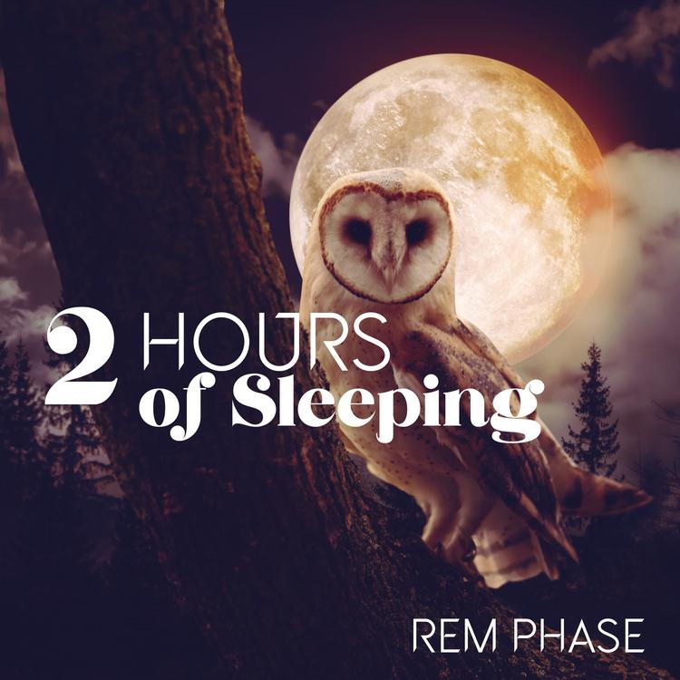 Restful Sleep Music Collection's avatar image