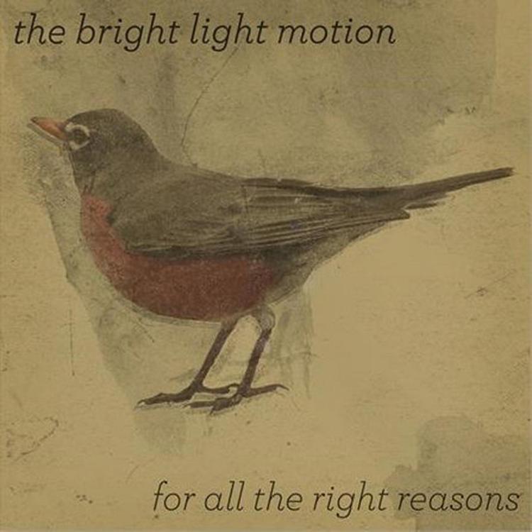 The Bright Light Motion's avatar image