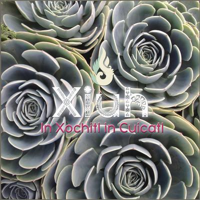 Huei Papalotl By Xiuh's cover