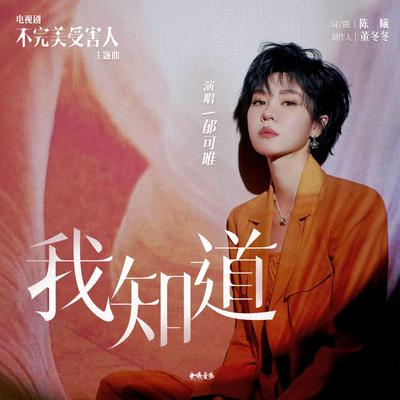 我知道（电视剧《不完美受害人》主题曲）'s cover