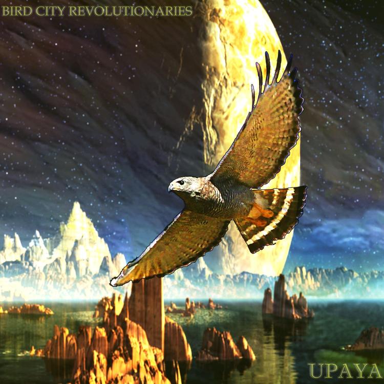 Bird City Revolutionaries's avatar image