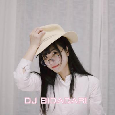 DJ BIDADARI's cover