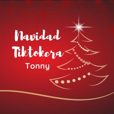 Navidad Tiktokera's cover