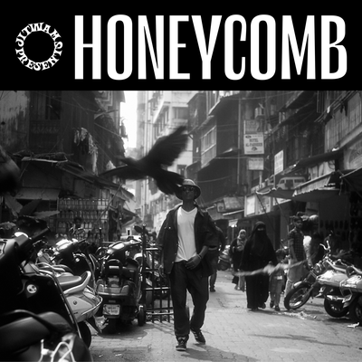 Honeycomb's cover