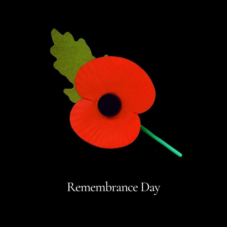 Lest We Forget's avatar image
