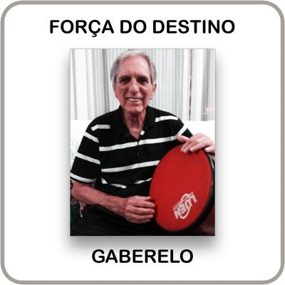 Força do Destino's cover