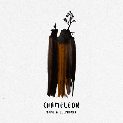Chameleon (Remix)'s cover