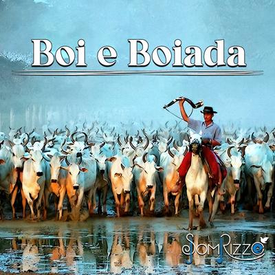 Boi e Boiada's cover