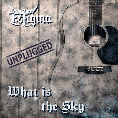 What Is the Sky (Unplugged)'s cover