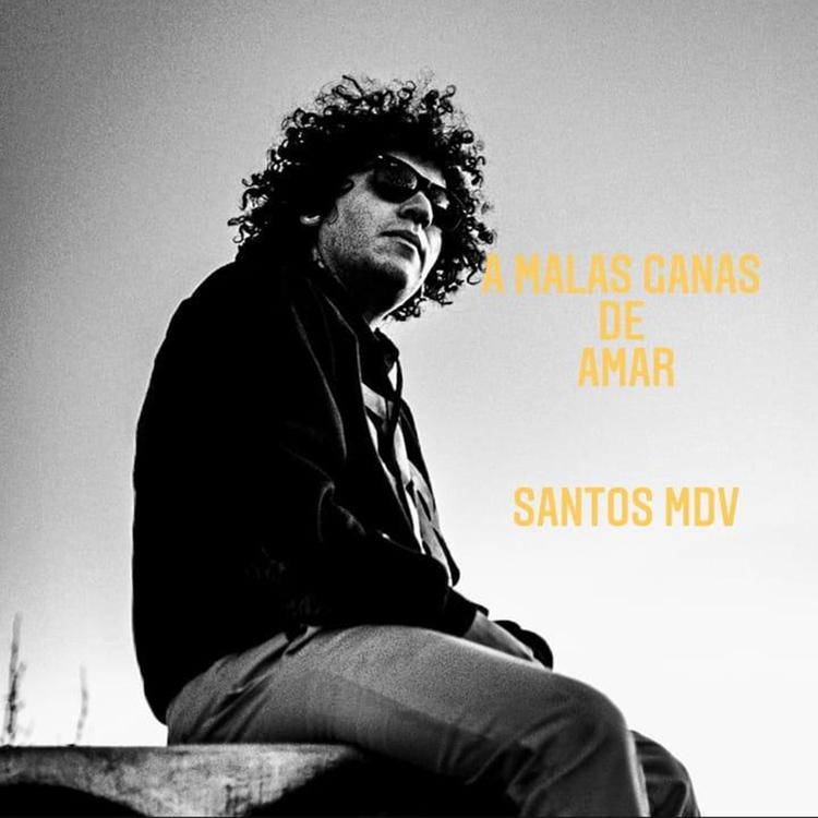 Santos MDV's avatar image