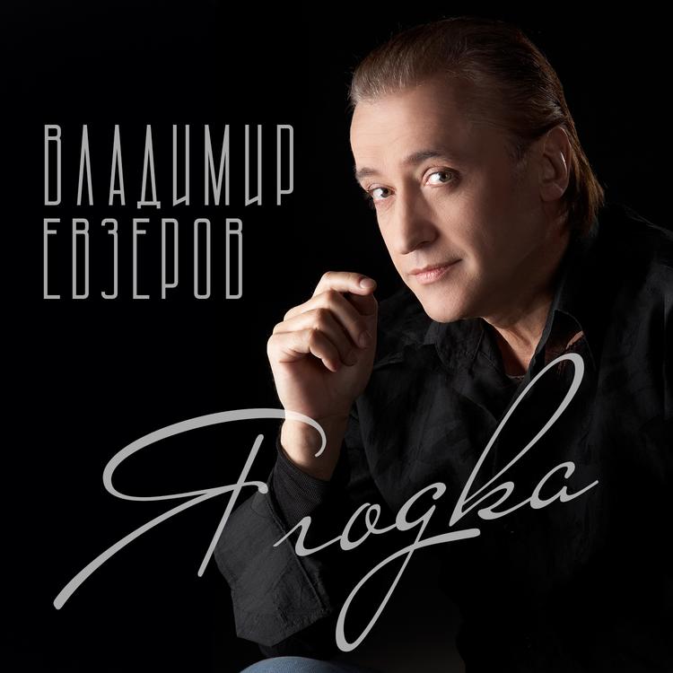 Владимир Евзеров's avatar image