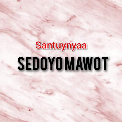 Santuynyaaa (Remix)'s cover