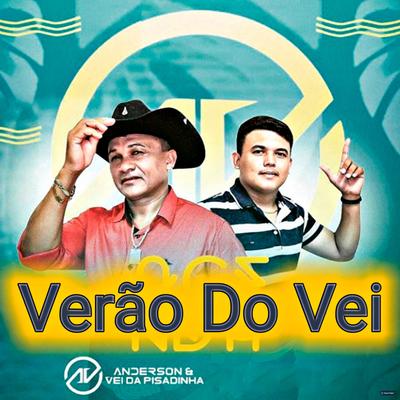 Zé da Recaída (Ao Vivo) By Anderson & Vei da Pisadinha's cover