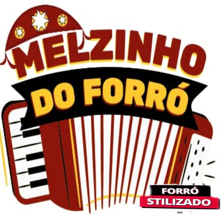 Melzinho do Forró's avatar image