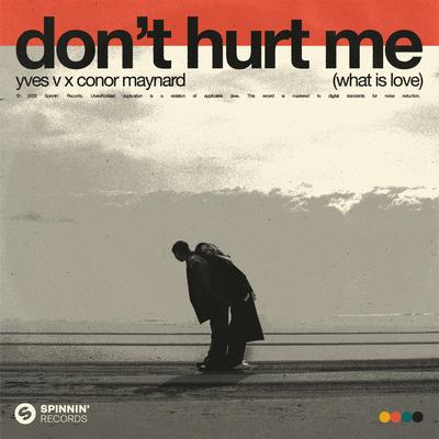 Don't Hurt Me (What Is Love)'s cover