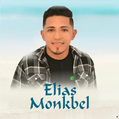 Foi Amor (Ao Vivo) By Elias Monkbel's cover