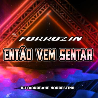 Forrozin Então Vem Sentar By Dj Mandrake Nordestino's cover