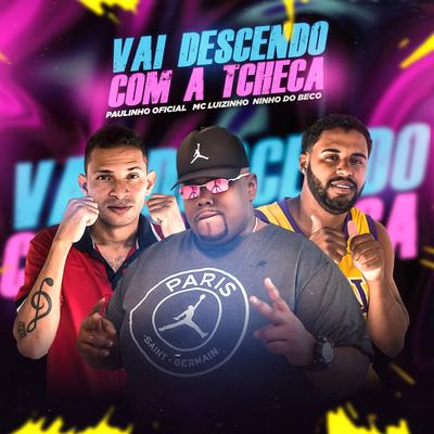 Vai Descendo Com a Tcheca (Remix)'s cover