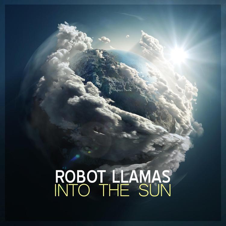 Robot Llamas's avatar image