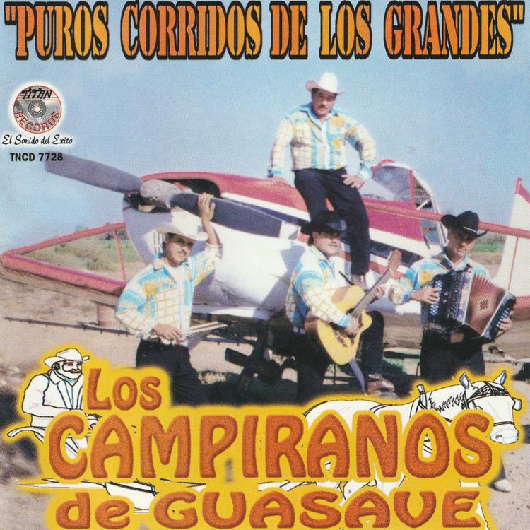 Los Campiranos de Guasave's avatar image