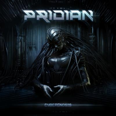 Hive Mind By Pridian's cover