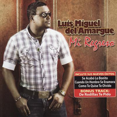 Mi Regreso's cover