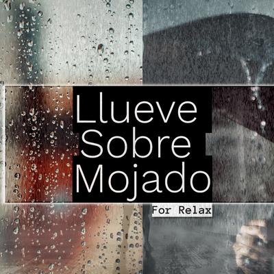 Llueve Sobre Mojado By Hans Zimmer's cover