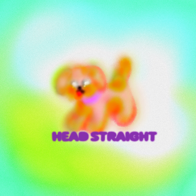 Head Straight By NEIL FRANCES, St. Panther's cover