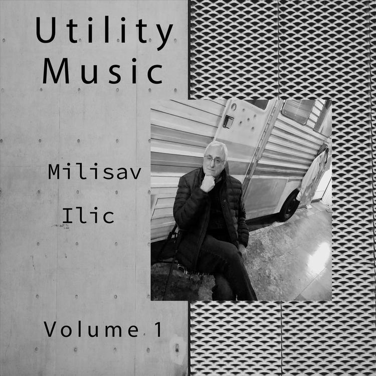 Milisav Ilic's avatar image