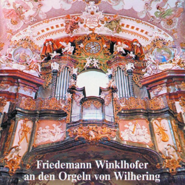 Friedemann Winklhofer's avatar image