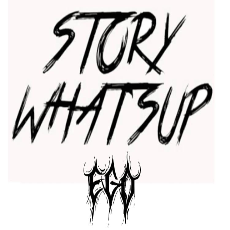 Story what's up's avatar image