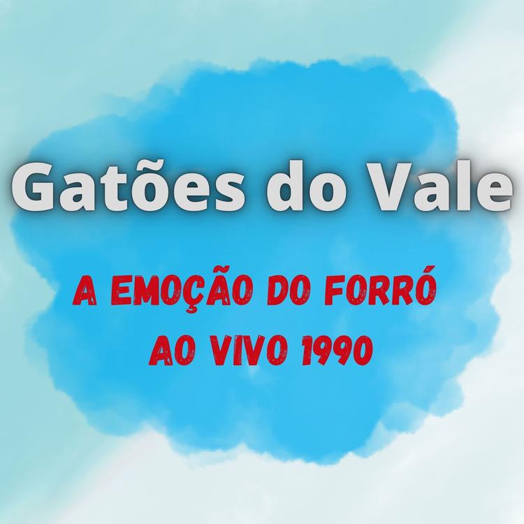 Gatões do Vale's avatar image