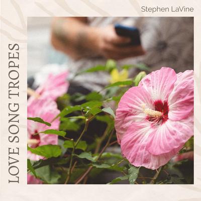 Stephen LaVine's cover