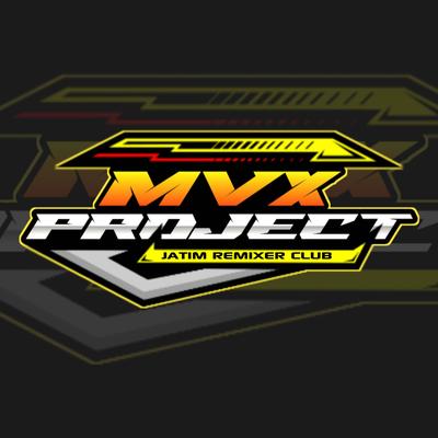 Mvx Project's cover