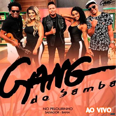 Embole / Vadeia Comadre / Rala o Bumbum (Ao Vivo) By Gang do Samba's cover